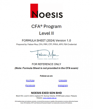 Noesis CFA Seviye 2 Formül Sayfası 2024